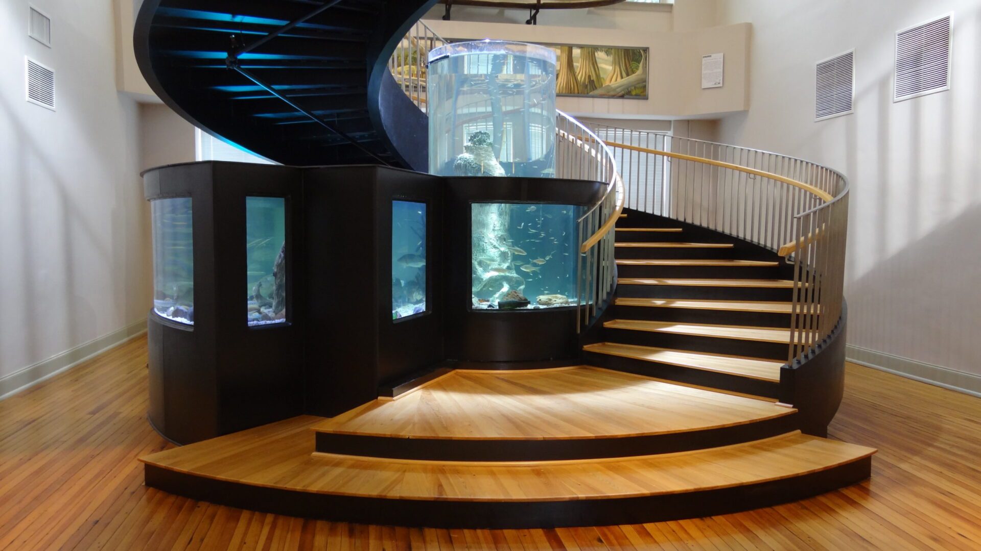 Spiral aquarium staircase
